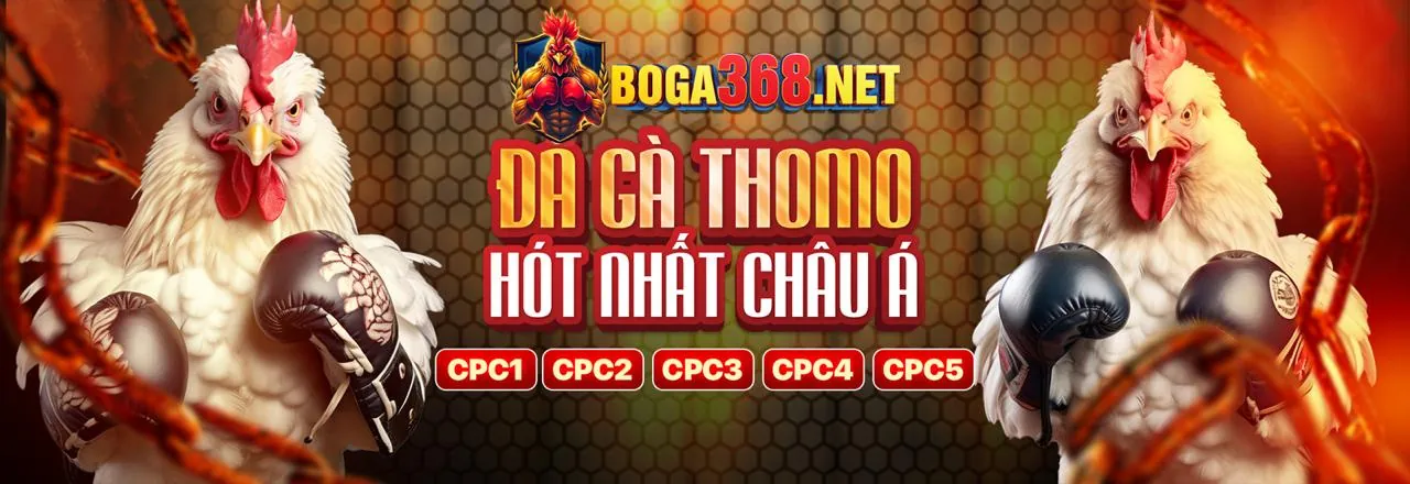 Giao diện thân thiện và tính năng hiện đại của ứng dụng xin88ac
